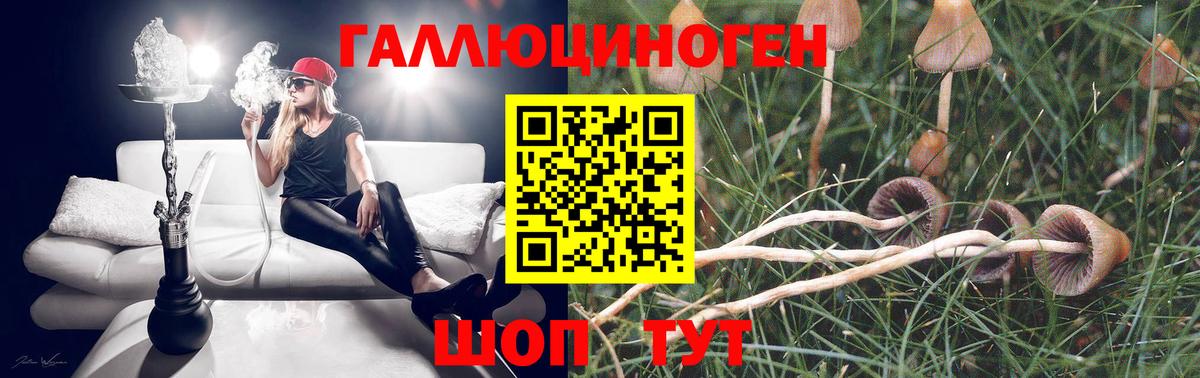 Галлюциногенные грибы мицелий  Галлюциногенные грибы GOLDEN TEACHER  Белореченск  Вход с VPN 